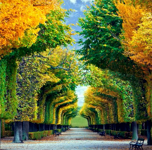 �P(y��ng)�ӹܘI(y��)���ֽ����h(hu��n)���a(ch��n)�I(y��) �c���B(t��i)�����R������δ��(l��i)