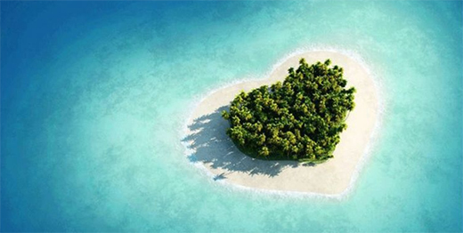 5.20�����I���͑�