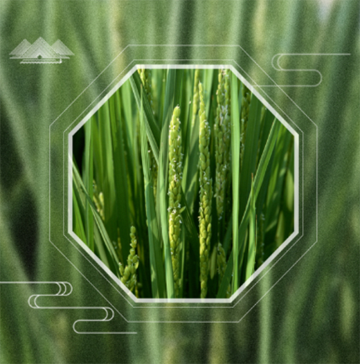 �A��(d��ng)���|24��(ji��)��������������ϲ�g�Ġ�B(t��i)��С�M���A�M!