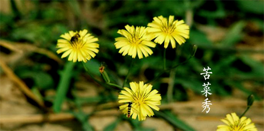 �A��(d��ng)���|24��(ji��)�����������ϲ�g�Ġ�B(t��i)��С�M���A�M!