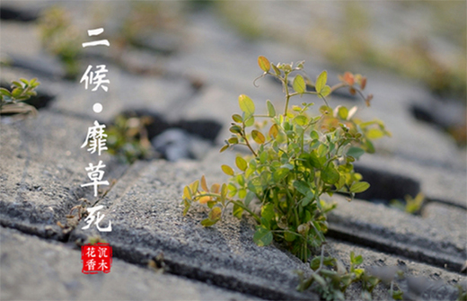 �A��(d��ng)���|24��(ji��)��������������ϲ�g�Ġ�B(t��i)��С�M���A�M!