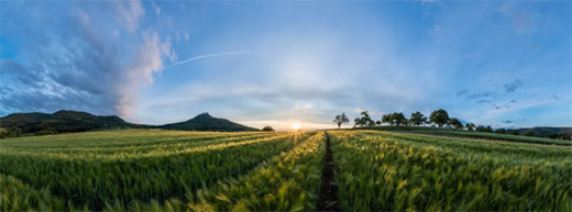 ͬ��՚��ܣ�С��ӯ�M�����ښgϲ