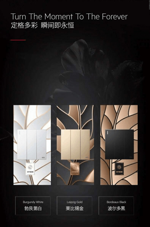 ��AEG�_�P(gu��n)����