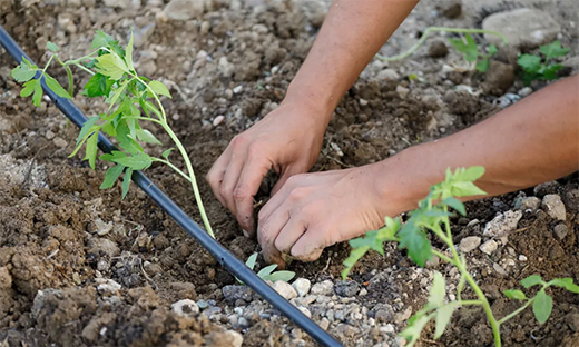 �x�_�ܘI(y��)��â�N�����������������S������æ