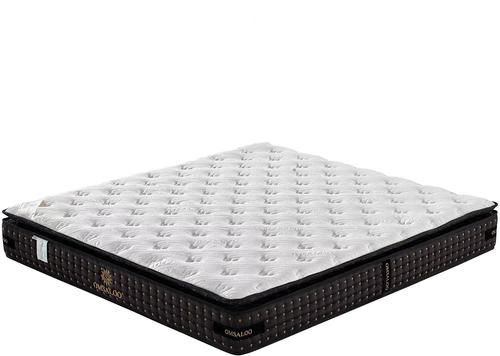 OMSALOO ���|���������m�������x