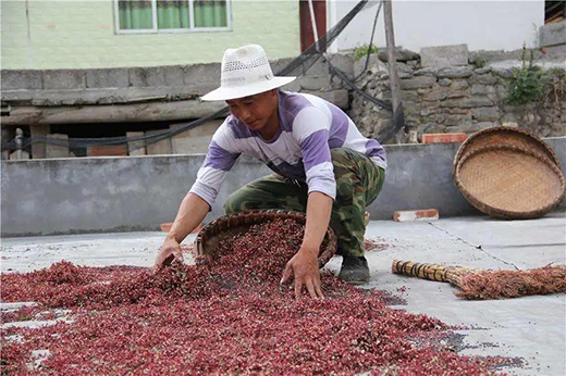 �W˼����û�����əC��ÿ��ɻ����H��0.5���