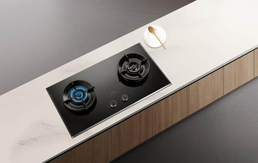 2020��ȼ?x��)�������а?��(y��u)�|(zh��)ȼ?x��)����Ì����fԒ