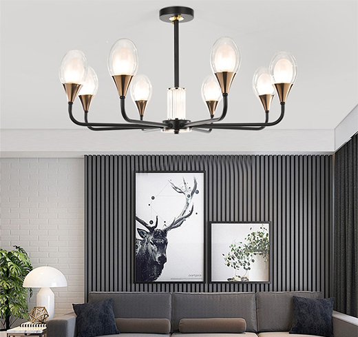 һ��(g��)ȫ�µ�����Ʒ�����������������ҵĸ۞�