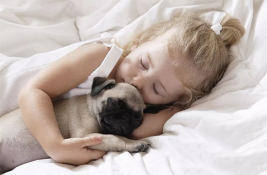 껌� | �ô��|����(y��u)�|˯���ж���Ҫ