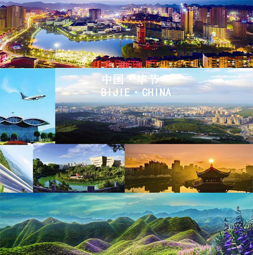 ϲӍ | �߶�Ʒ�ƽ�չ������ˮ�Ꮚ�����v�F�ݻ����Q�l(xi��ng)