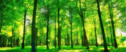 �l�c���h�鹝(ji��)�ܽ��������o(h��)�h(hu��n)���l(f��)