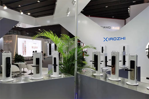 �������죬���i����|С�������i2020��V�ݽ�����(hu��)�A�M�չ�