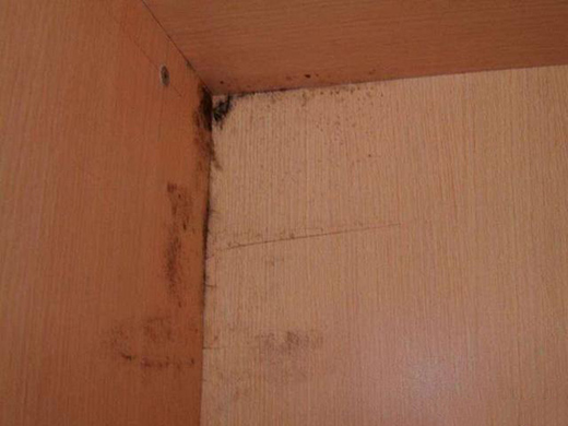 ��������÷�꼾�������ղ��P䓏N����ݑ�(y��ng)��(du��)