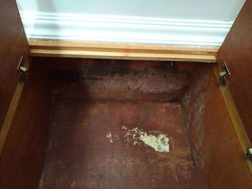 �����졢÷�꼾�������ղ��P䓏N����ݑ�(y��ng)��(du��)