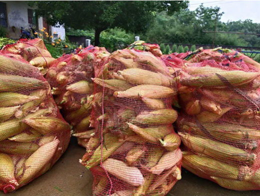 �K����벢�e��Ӳ������һ������