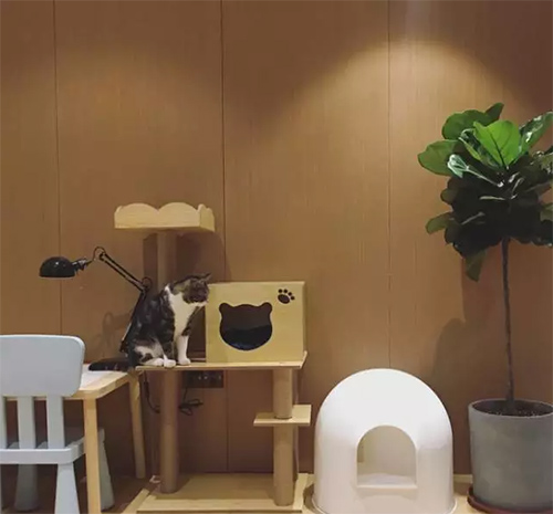 ���b�����׌����ֵ������!