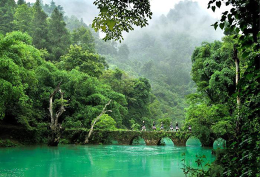 �F��A��(j��)���^(q��)8����Y(ji��)�����TƱ �֏�(f��)�TƱ5�ۃ�(y��u)��