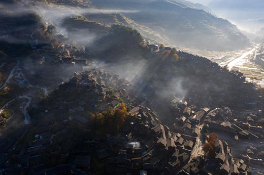 �F��A��(j��)���^(q��)8����Y(ji��)�����TƱ �֏�(f��)�TƱ5�ۃ�(y��u)��