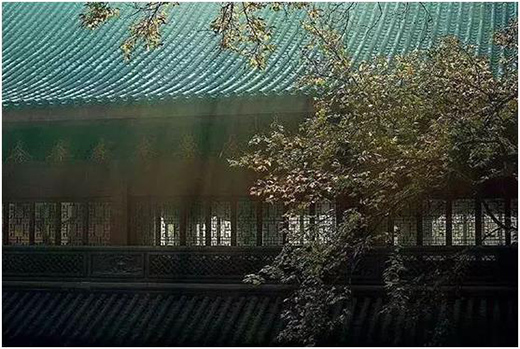 �����T(m��n)���˴�(y��u)�ݣ��͞顰�Y������(l��i)!