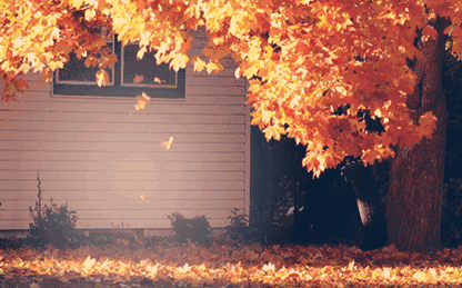 ⠺�������������һ�~֪��!