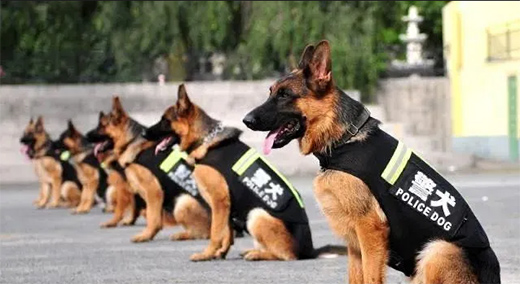 Ω����LED�w���������ٽ��م����c(di��n)�����ڹ����־�Ȯ����!