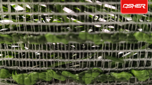 ���O(sh��)�w���l(f��)��ENOCH���Z��ٻ쿗��ƺ����?q��)������ИI(y��)څ��