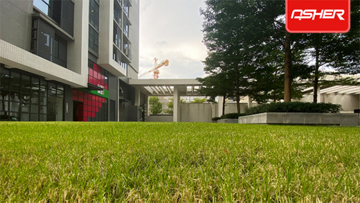 ���O(sh��)�w���l(f��)��ENOCH���Z��ٻ쿗��ƺ����?q��)������ИI(y��)څ��