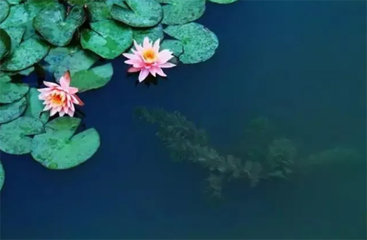 ��(qu��n)�_ˮ����� | ��ȥ�������Ҋ���������ʵ�����