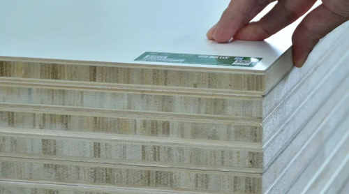 �A����о�壺��ľ�ǧ����һ�ο�Խ�������������