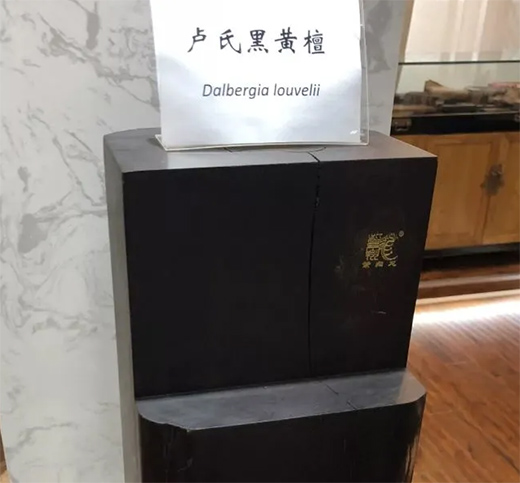 ���ϼtľ������t��֦����ľ�ĳ���tɫ����t��֦һ�㎧���ζ