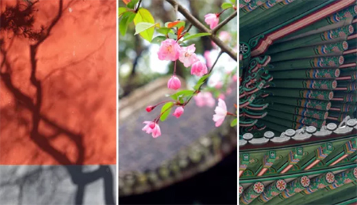 �ŵۘ��T�I(y��)�������Ė|���O(sh��)Ӌ������Ó�׵ĸ߼���!