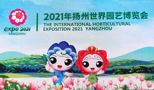 2021��P������@ˇ���[��������������l(f��)��