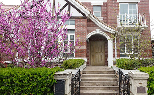 �������ֵ�����|(zh��)���W�A��ۡ�T�X�T(m��n)��ǡ�Ʉ�����