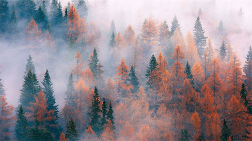 ���Zһ��(ji��n)��Ʒ�|(zh��)��ʮ�ֻ꣬�íh(hu��n)��ˮ����!