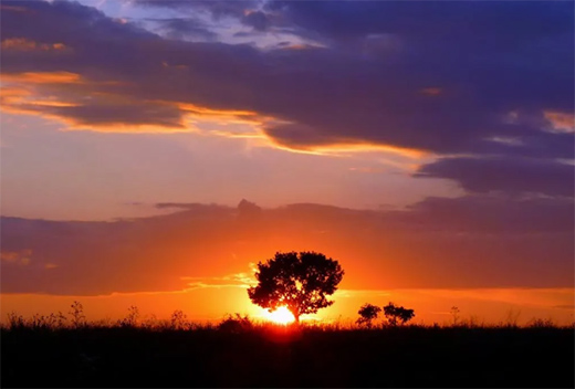 �����Xȫ�X�ҾӪ����������ʽ��(y��u)��