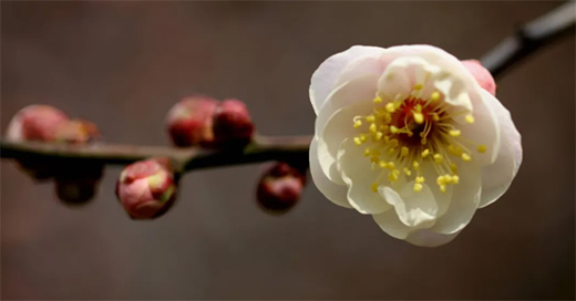 �����Xȫ�X�ҾӪ����������ʽ��(y��u)��