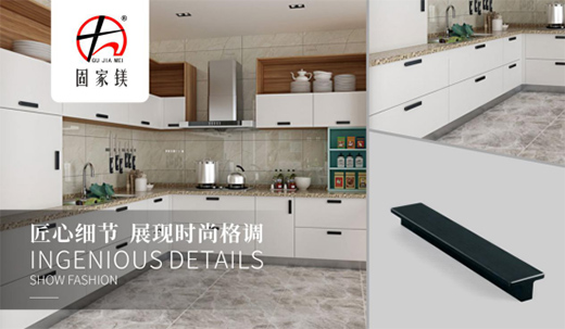 ����ÏN��������󷽡����f�ľ��ǹ̼��V����