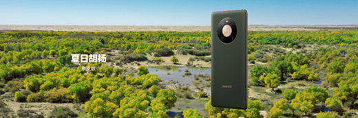 �A��Mate40ϵ����Ʒ�l(f��)��ʢ�������@Щ���c(di��n)��ע�⵽�ˆ�?