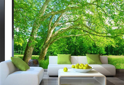 �����B(t��i)�Ҿӡ��r(sh��)������(l��i)�����B(t��i)��(sh��)ľ�T(m��n)���I(l��ng)δ��(l��i)����