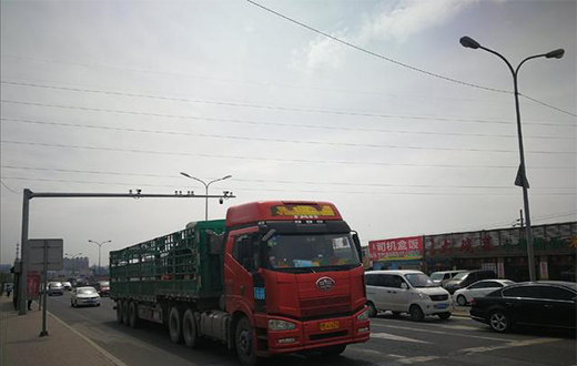 ��������������·������ǰ���ĵ�·