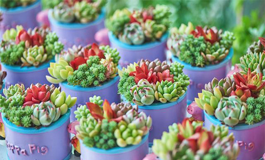 �������Ђ�(g��)�(y��ng)�ⷿ��һ����(sh��)һ�K��һ���(y��ng)����͵�ø��������e