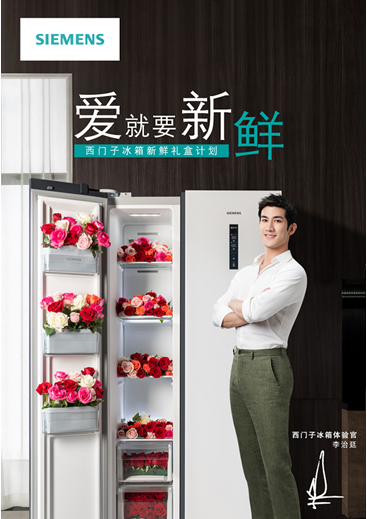 �p11�����_��������������¶�����ι�܊