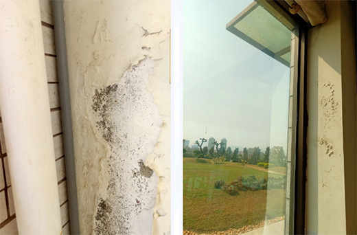 ���쉦�������������Ї�ʮ��Ϳ��Ʒ�ơ����Ƴ���_�N�l(w��i)������