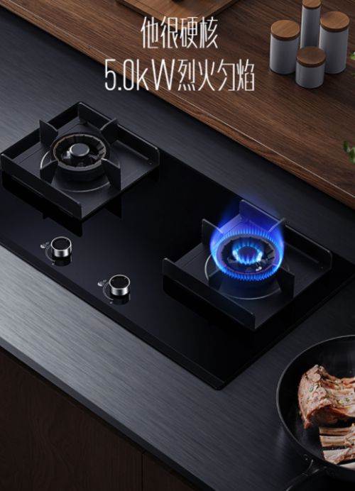 ���������ȼ!�A��5.0kWȼ�������㡰��ʹ�N�Ǽ�ʢ��