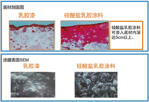 ĵ��ˮ�ᡪ���o(w��)�C(j��)�V��Ϳ�ϴ��콡���ҾӺ�����!