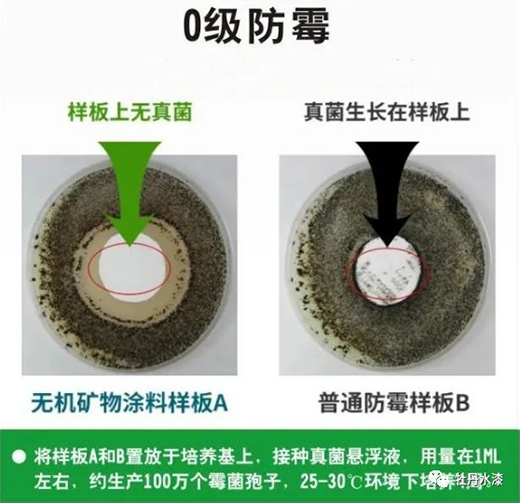 ĵ��ˮ�ᡪ���o(w��)�C(j��)�V��Ϳ�ϴ��콡���ҾӺ�����!