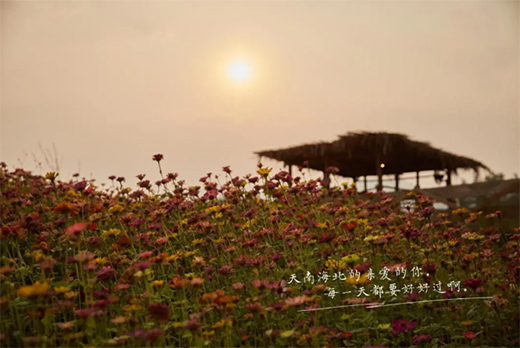 �_����ˇ�gͿ�ϣ���һ�N�ζ������ʽ�ζ!