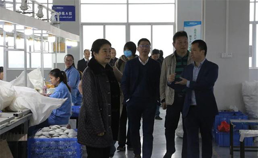 �M���(zh��n)���Ї��������������ء����܏�(f��)�u