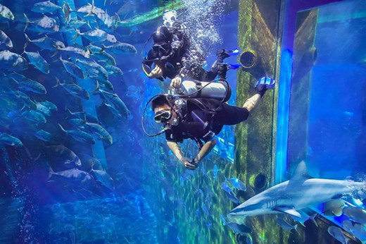 ���L(f��ng)����������δ��!2021�_���ʠI�N���h��������