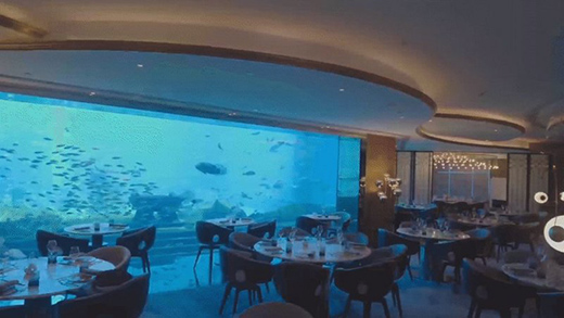 ���L(f��ng)����������δ��!2021�_���ʠI�N���h��������